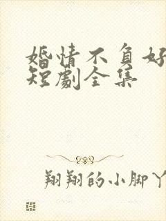 婚情不负好春光短剧全集