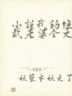小说我的绝美总裁老婆全文阅读封面