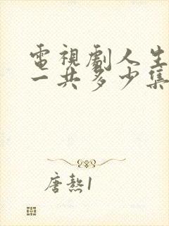 电视剧人生之路一共多少集