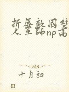 折辱敌国双性美人军师np高h