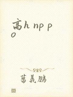 高h np po