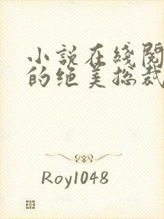 小说在线阅读我的绝美总裁老婆