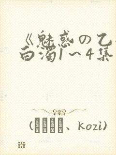 《魅惑の乙女と白浊1～4集》封面