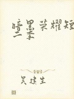 暗黑荣耀短剧第二季