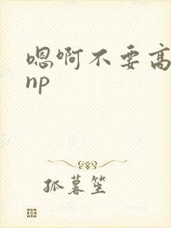 嗯啊不要高h np