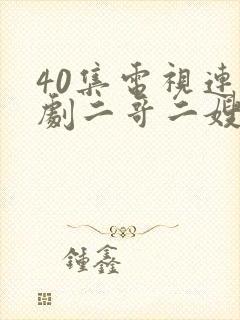 40集电视连续剧二哥二嫂封面