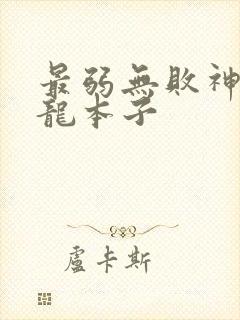 最弱无败神装机龙本子