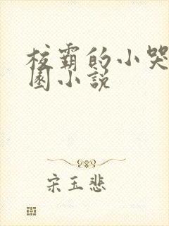 校霸的小哭包校园小说