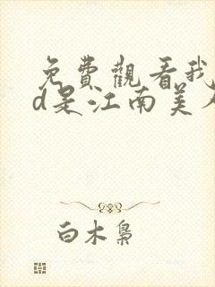 免费观看我的id是江南美人电视剧