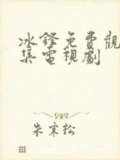 冰锋免费观看全集电视剧封面