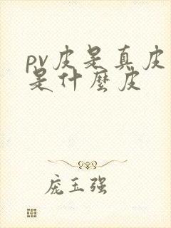pv皮是真皮吗是什么皮封面