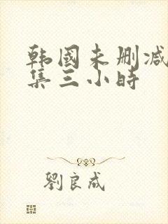 韩国未删减版合集三小时