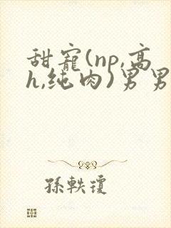 甜宠(np,高h,纯肉)男男