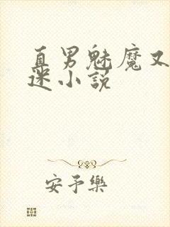 直男魅魔又万人迷小说