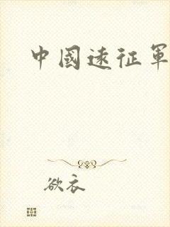 中国远征军小说