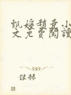 甄嫒赵尧小说全文免费阅读封面