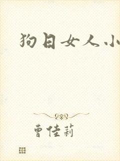 狗日女人小说