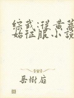 综武:从黄蓉开始征服小说封面