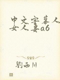 中文字幕人妻熟女人妻a6