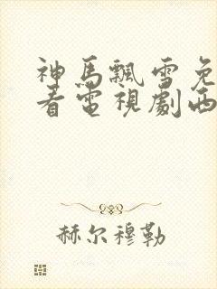 神马飘雪免费观看电视剧西瓜影院