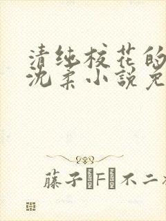 清纯校花的日常沈柔小说免费阅读最封面