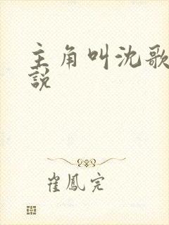 主角叫沈歌的小说