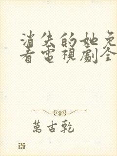 消失的她免费观看电视剧全集高清