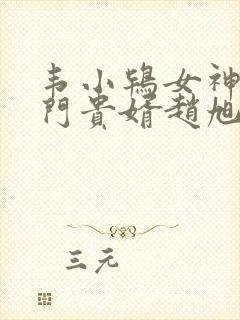 韦小鸨女神的上门贵婿赵旭