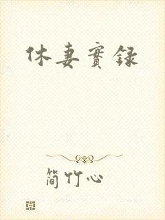 休妻实录封面