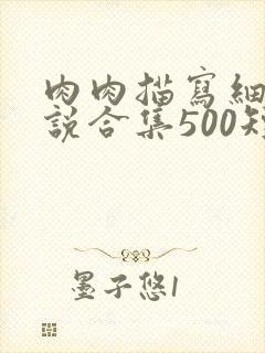 肉肉描写细致小说合集500短篇封面