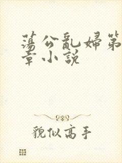 荡公乱妇第51章小说