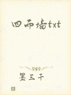 四面墙txt