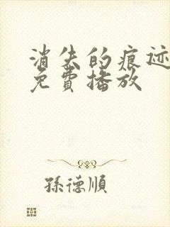 消失的痕迹全集免费播放