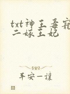 txt神王毒宠二嫁王妃