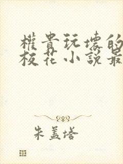 权贵玩坏的高冷校花小说最新章节更