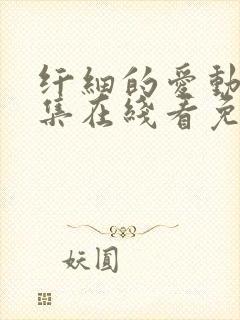 纤细的爱动漫全集在线看免费