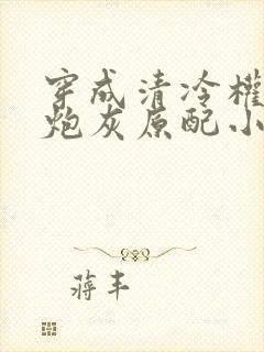 穿成清冷权臣的炮灰原配小说封面