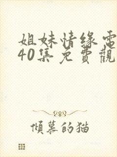 姐妹情缘电视剧40集免费观看全集