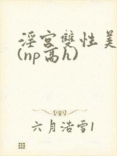 淫宫双性美人录(np高h)