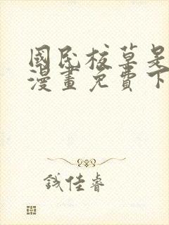 国民校草是女生漫画免费下拉式六漫画封面