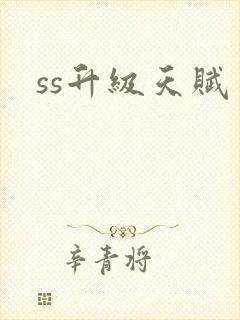 ss升级天赋封面