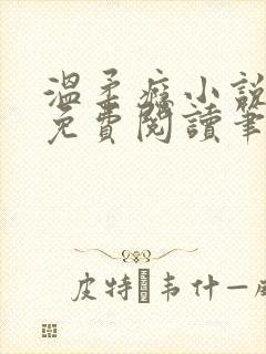 温柔瘾小说全文免费阅读笔趣阁封面