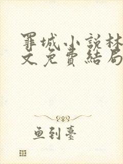 罪城小说林岚全文免费结局在线阅读