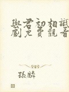 与君初相识电视剧免费观看