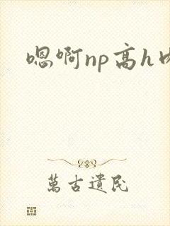 嗯啊np高h肉