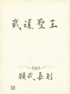 武道圣王封面