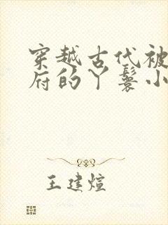 穿越古代被放出府的丫鬟小说