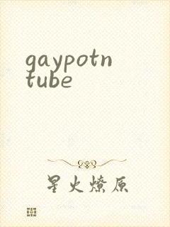 gaypotntube封面