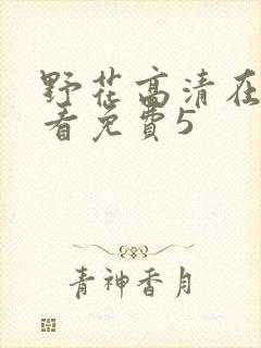 野花高清在线观看免费5