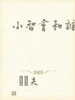 小智会和谁结婚封面